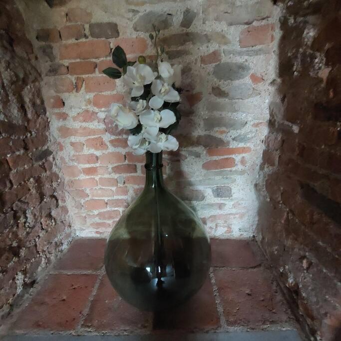 Istanti - Rosmarino Apartamento Costigliole Saluzzo Exterior foto